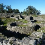 Citânia de Santa Luzia